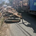 Полицијата заплени над 200 метри кубни бесправно исечени дрва, поднесени кривични пријави